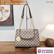 Ladies Handbag