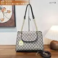 Ladies Handbag