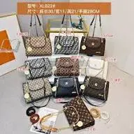 Ladies Handbag
