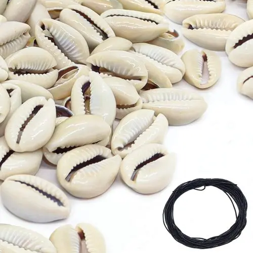 Best Price For Cowrie Shell Beads 50Pcs Color-Brown