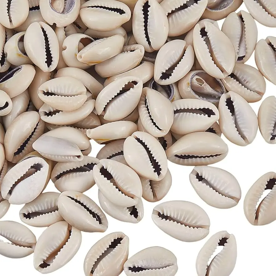 Best Price For Cowrie Shell Beads 50Pcs Color-Brown