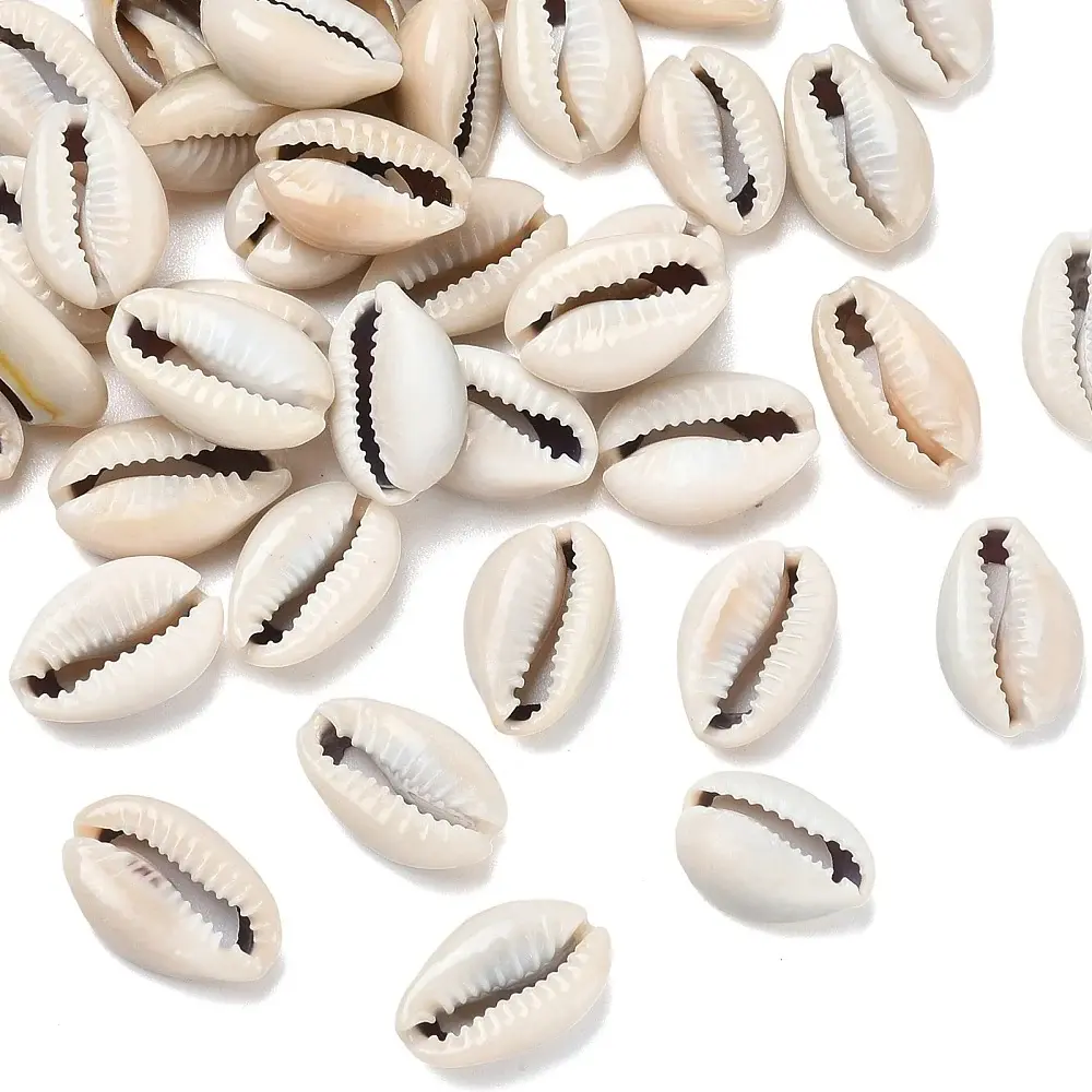 Best Price For Cowrie Shell Beads 50Pcs Color-Brown